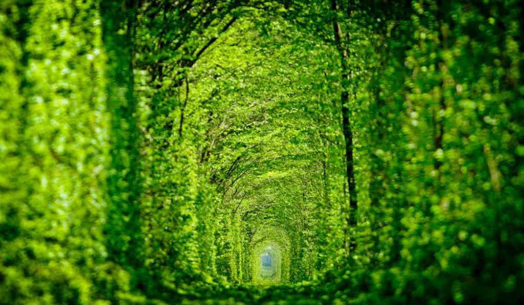 Tunel del amor, Ucrania